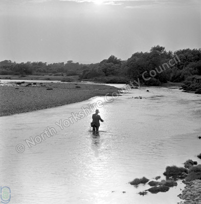 Fishing, River Swale, Langton